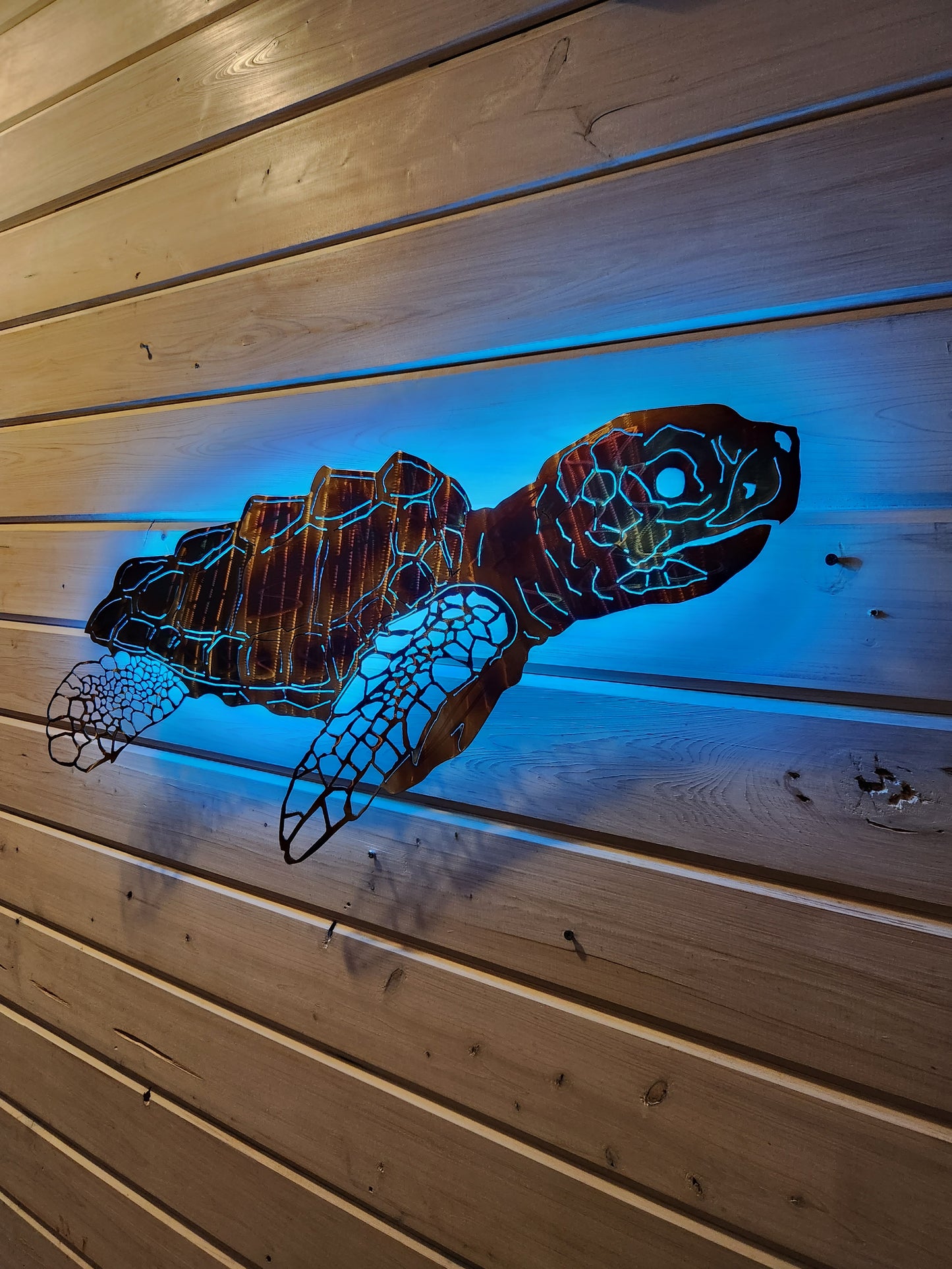 Stainless steel Sea turtle FULL Shell