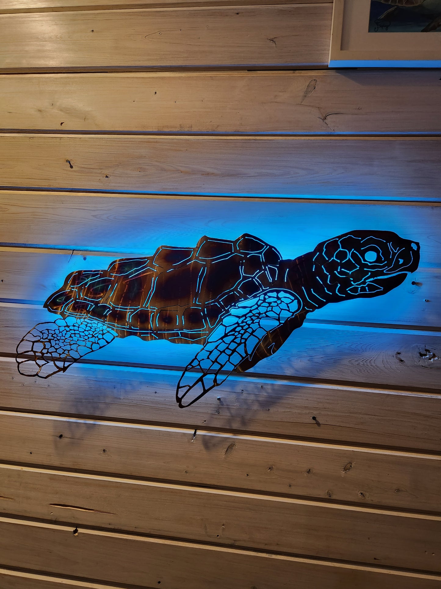 Stainless steel Sea turtle FULL Shell