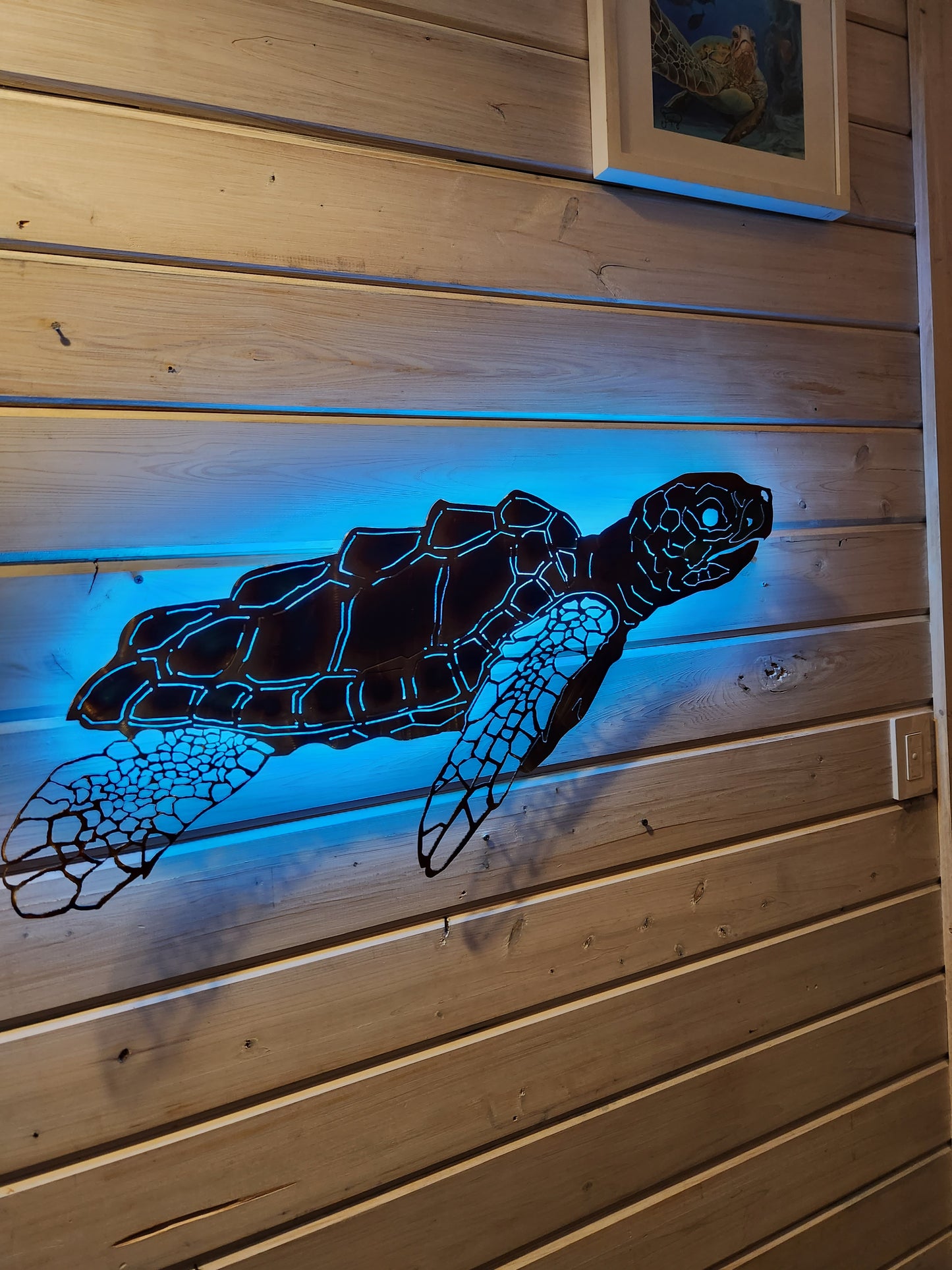 Stainless steel Sea turtle FULL Shell