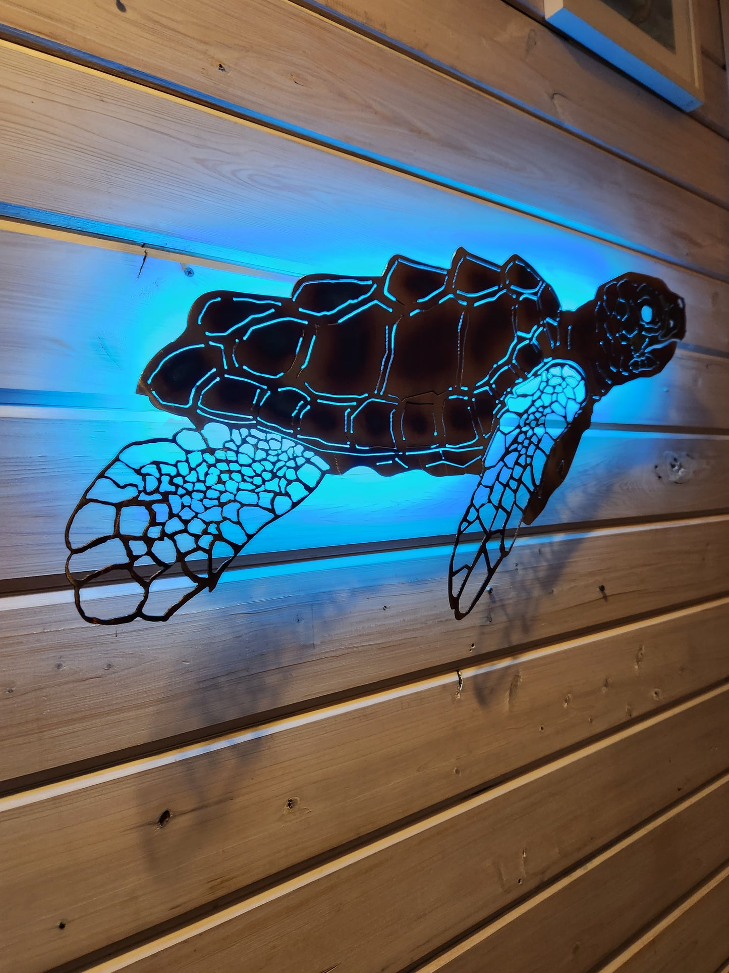 Stainless steel Sea turtle FULL Shell