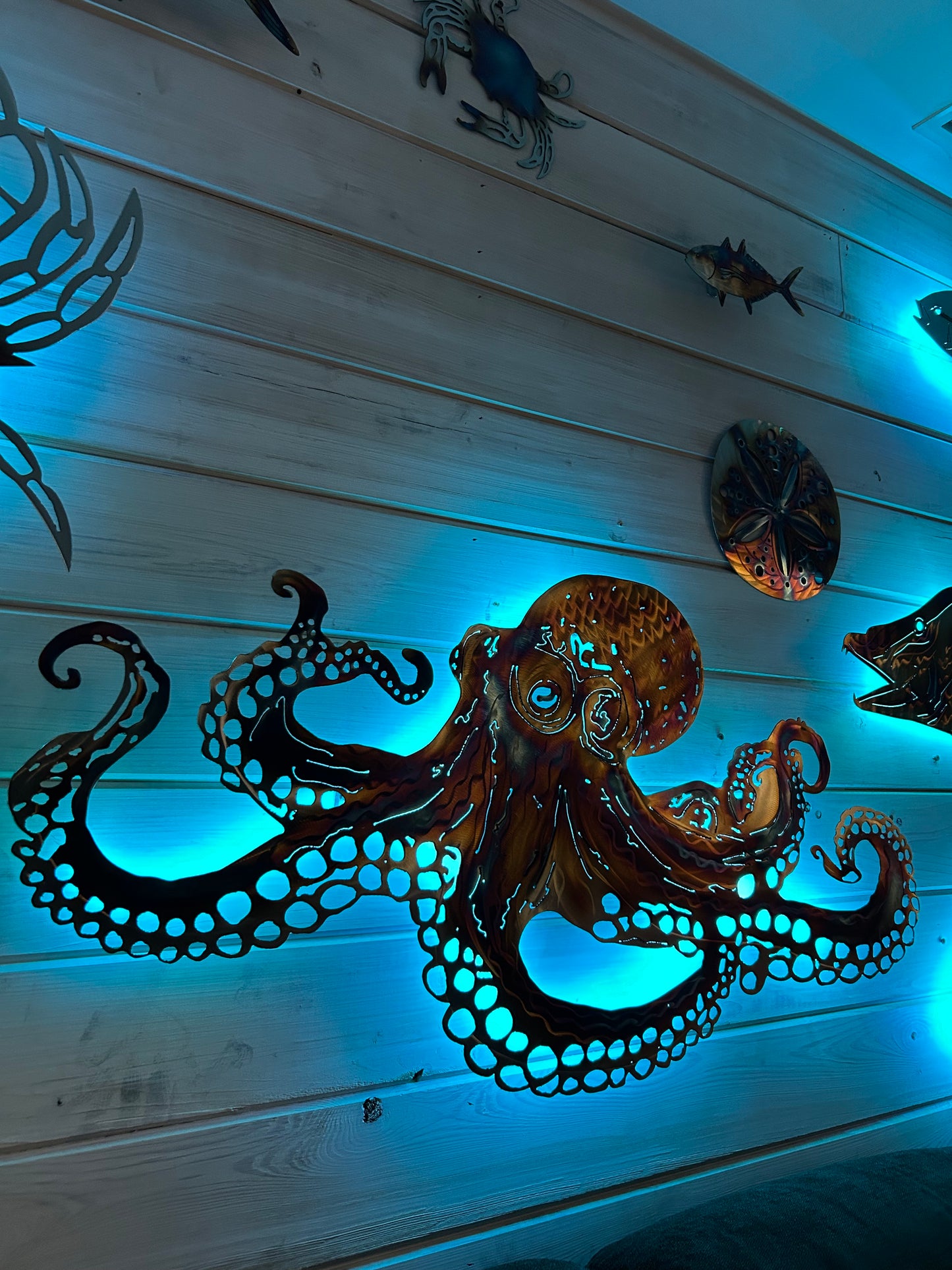 Stainless Steel Octopus (New Design 2025) metal art