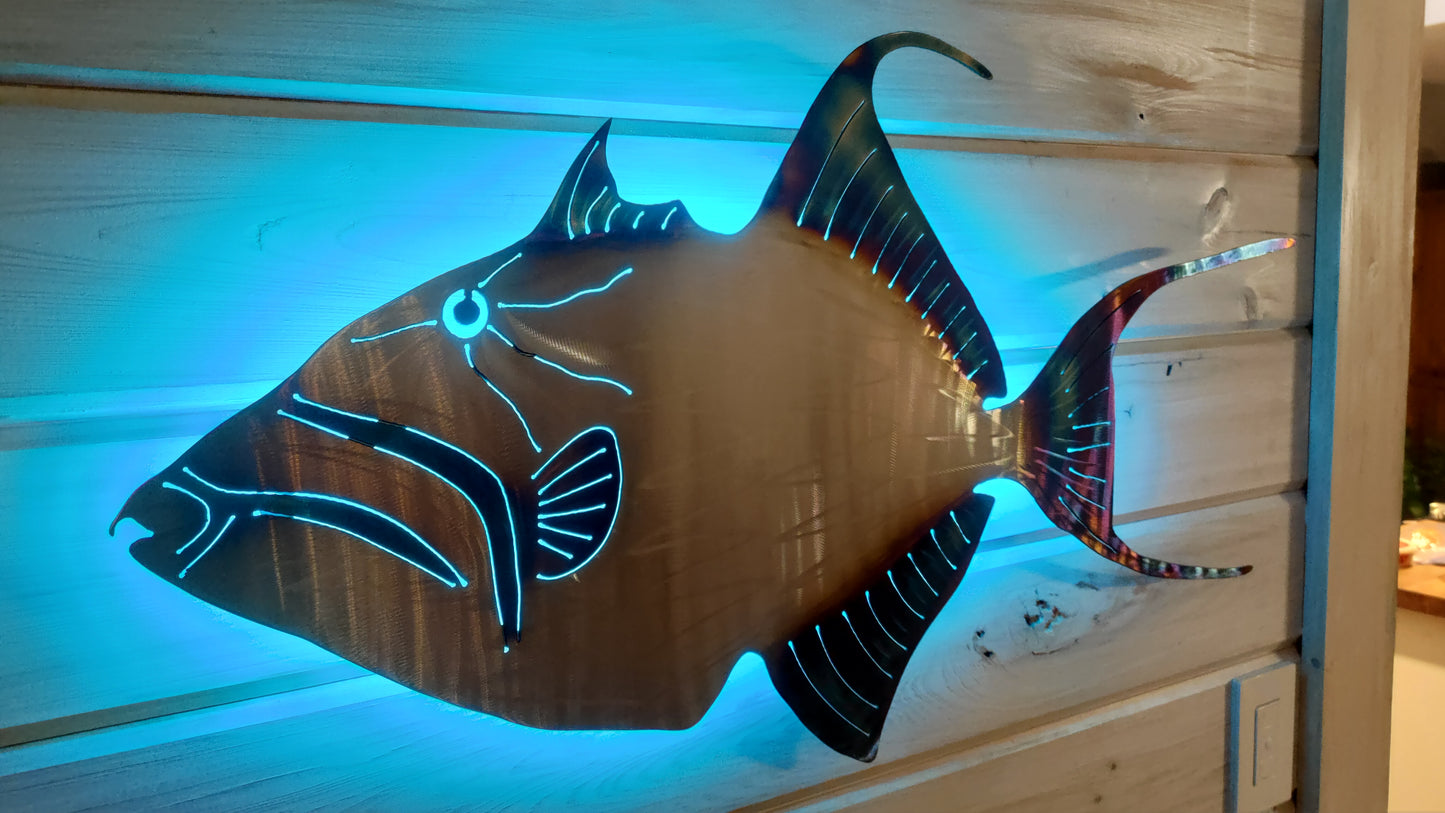 Stainless Steel Queen trigger fish