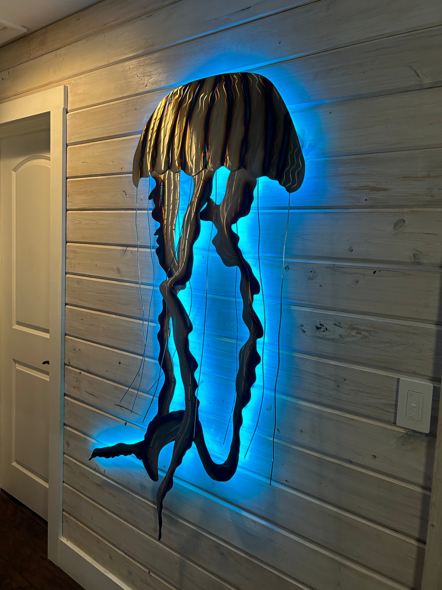 Stainless Steel Jelly fish Art