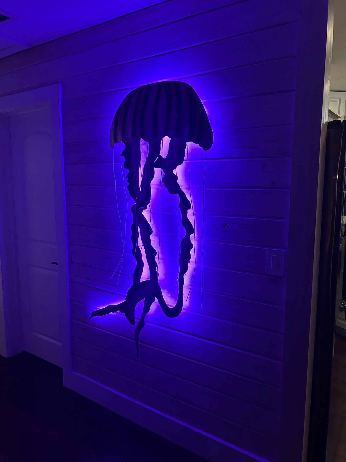 Stainless Steel Jelly fish Art