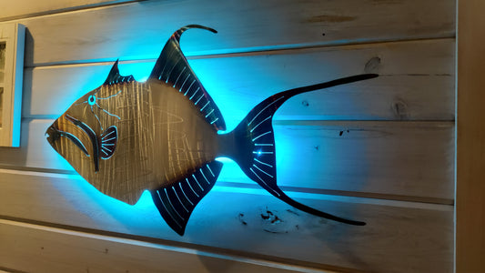 Stainless Steel Queen trigger fish