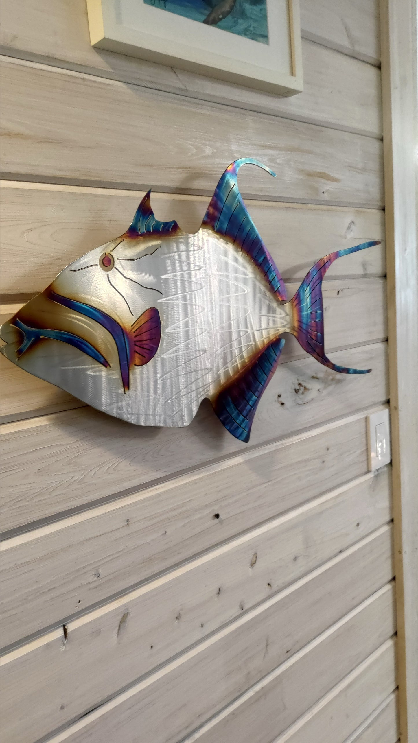 Stainless Steel Queen trigger fish