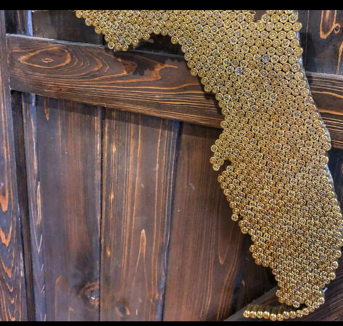 Bullet shell Florida