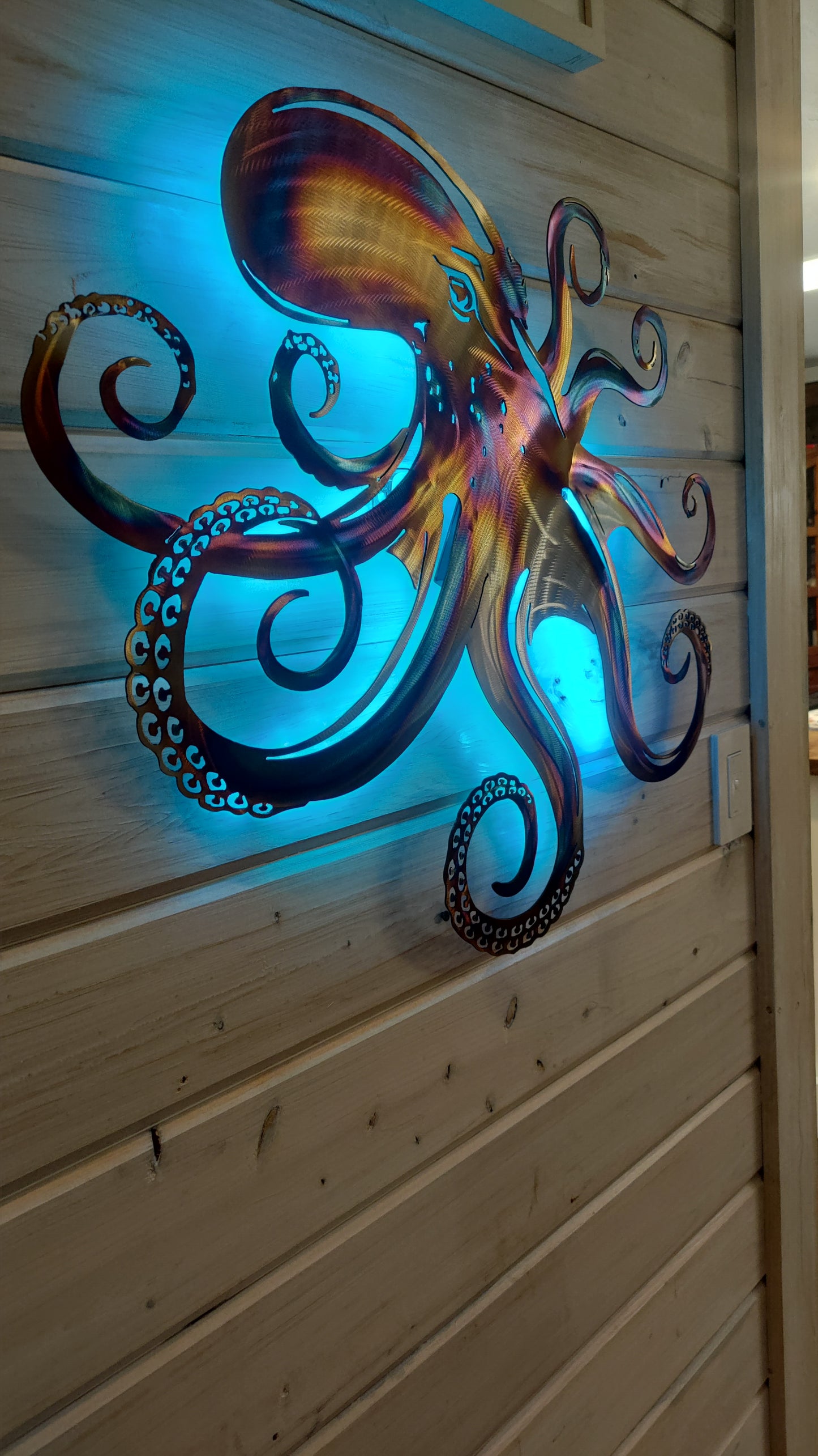 Stainless Steel Octopus  metal art
